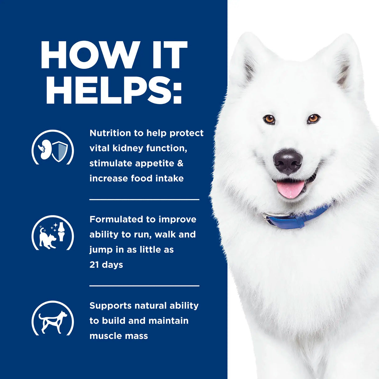 Hill's Prescription Diet - k/d + j/d (Kidney + Mobility) (Dry) 希爾思處方食品 - k/d 犬用腎臟護理 + j/d 關節活動力配方