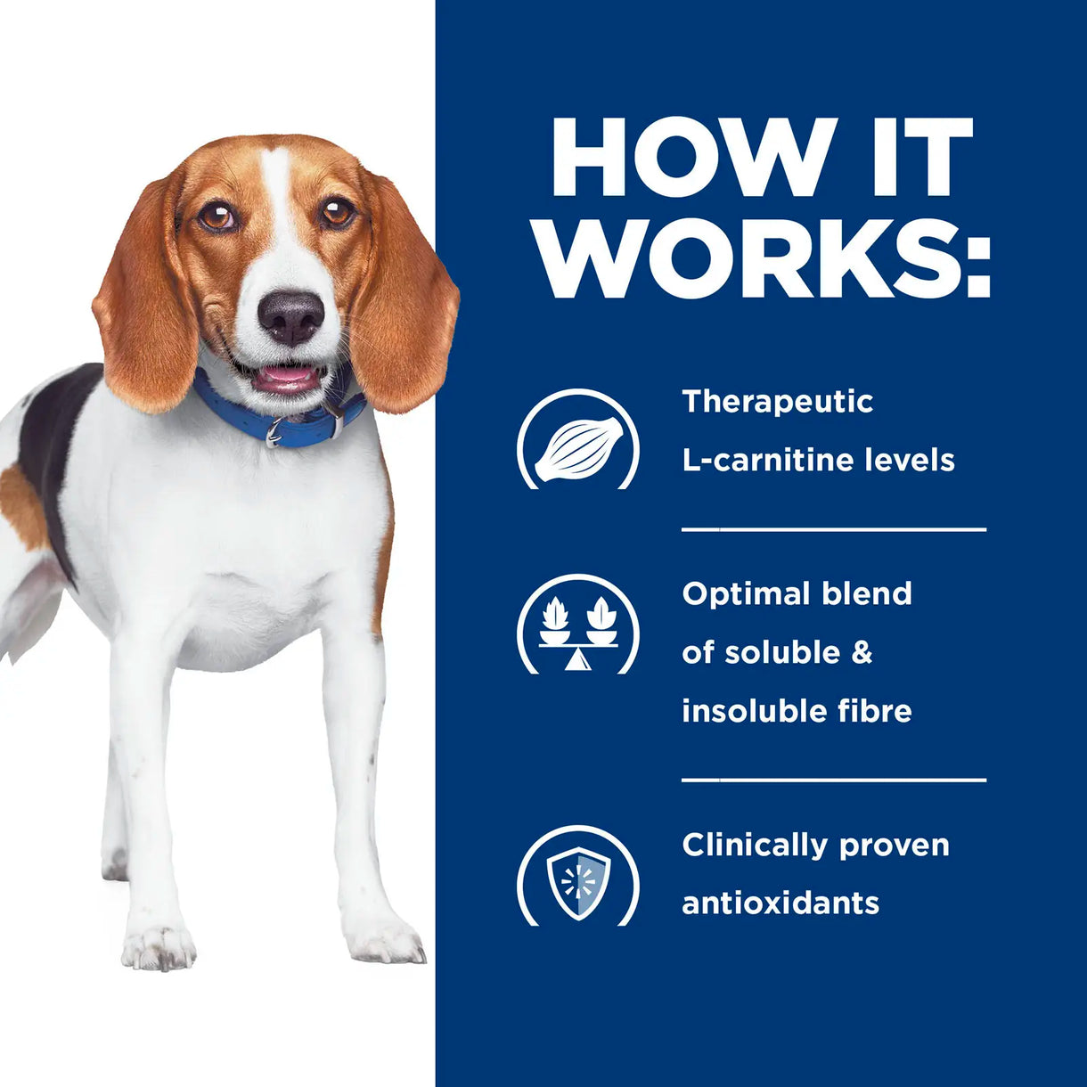 Hill's Prescription Diet- r/d Weight Loss (Dry) 希爾思處方食品 - r/d 犬用減重配方