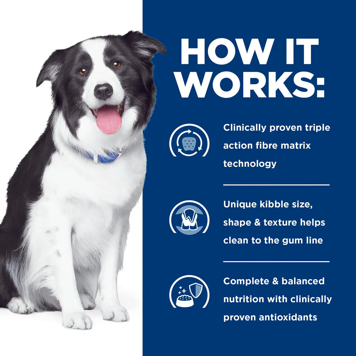 Hill's Prescription Diet - t/d Dental Care (Dry) 希爾思處方食品 - t/d 犬用口腔護理配方