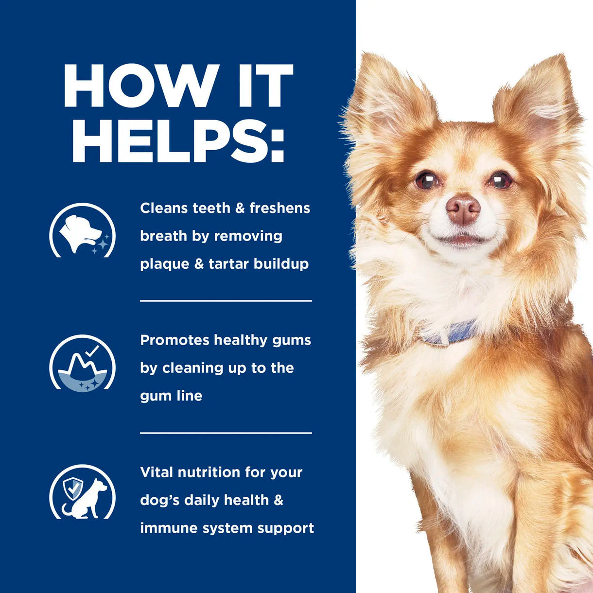 Hill's Prescription Diet - t/d Dental Care Small Bites (Dry) 希爾思處方食品 - t/d 犬用口腔護理小顆粒配方