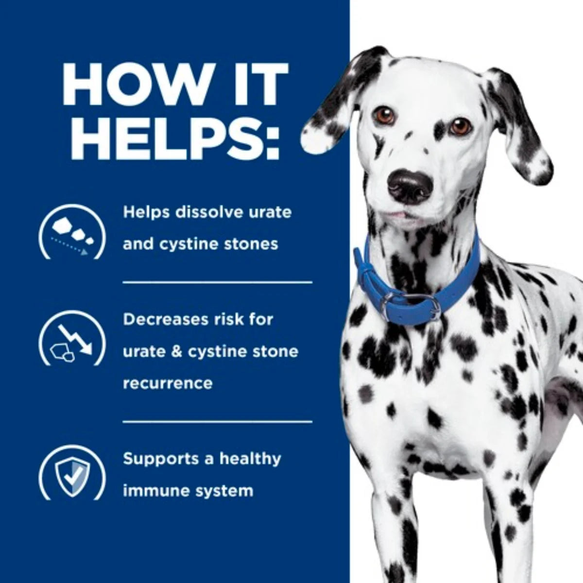 Hill's Prescription Diet - u/d Urinary Care (Can)