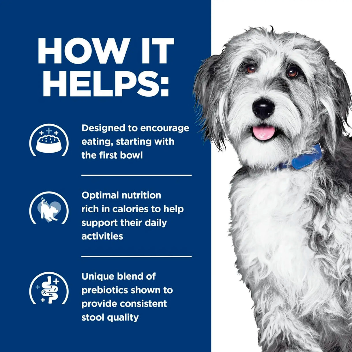 Hill's Prescription Diet - ONC Care nourish & support (Dry) 希爾思處方食品 - 犬用 ONC CARE 腫瘤照護配方