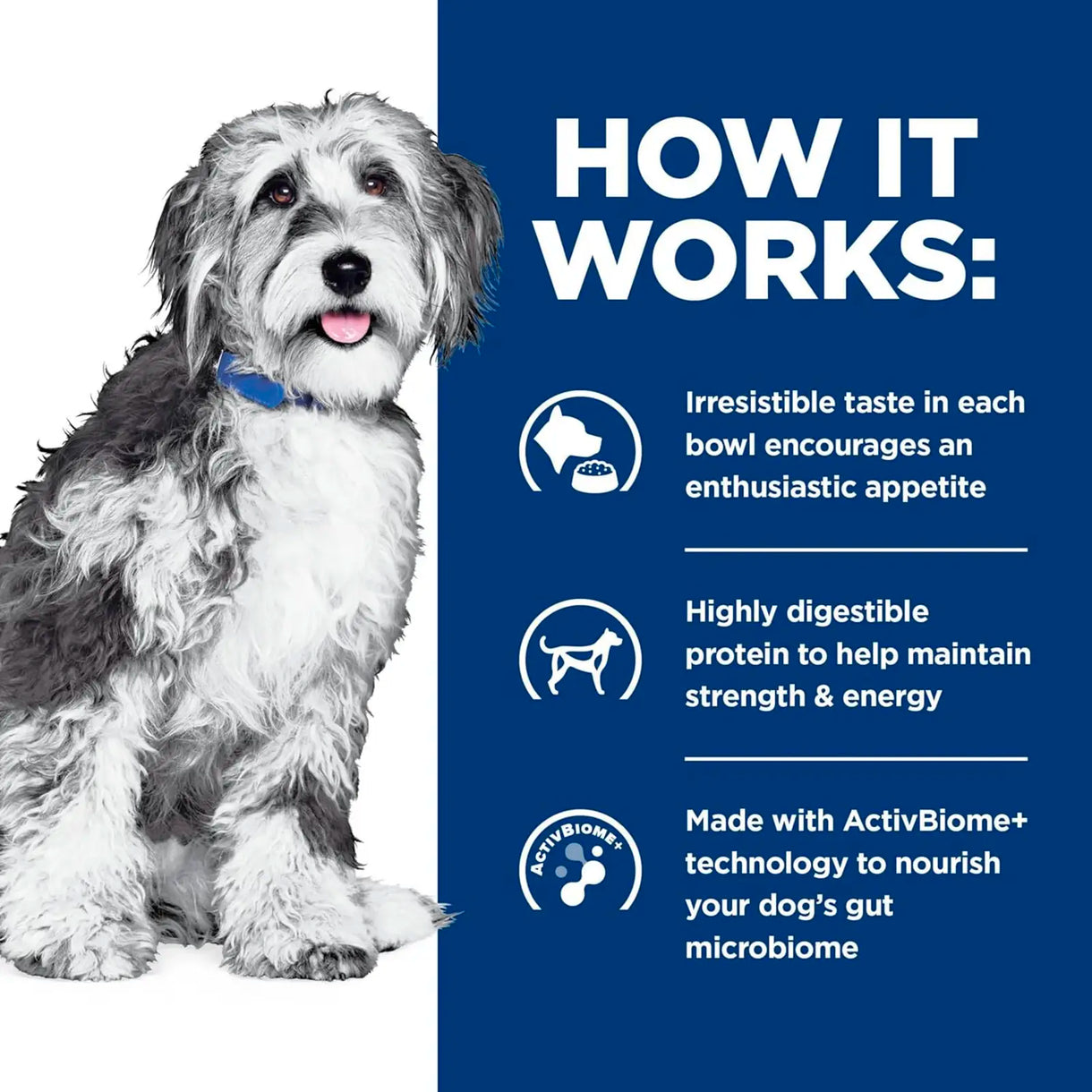 Hill's Prescription Diet - ONC Care nourish & support (Dry) 希爾思處方食品 - 犬用 ONC CARE 腫瘤照護配方