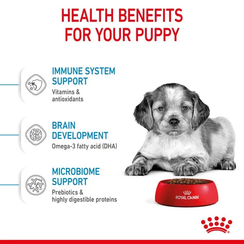 Royal Canin - Puppy Medium 2-12 months -中型幼犬營養配方