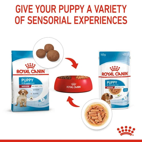 Royal Canin - Puppy Medium 2-12 months -中型幼犬營養配方