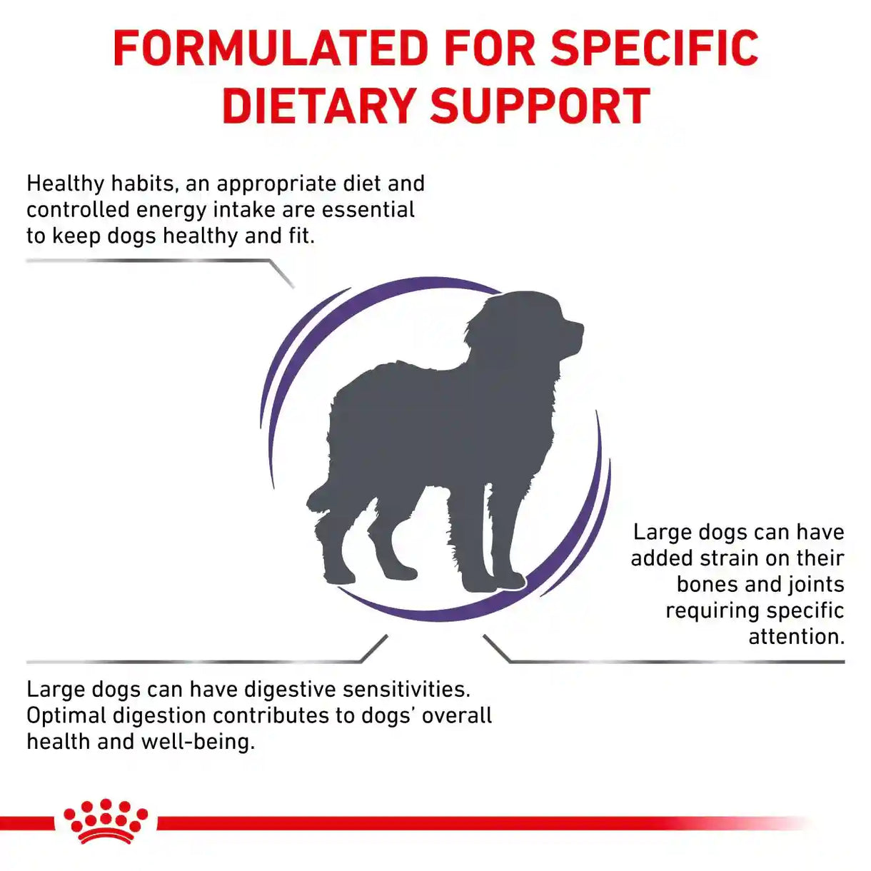 Royal Canin - Adult Large Dogs- 大型成犬健康管理配方