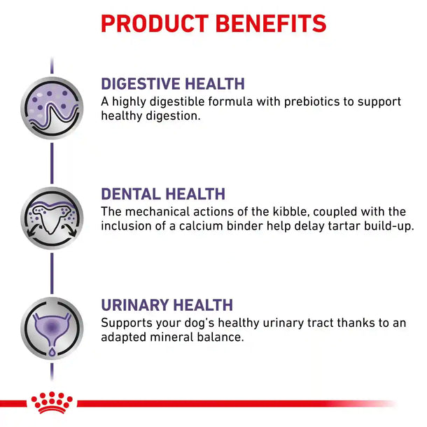 Royal Canin - Adult Small Dog (Dry)