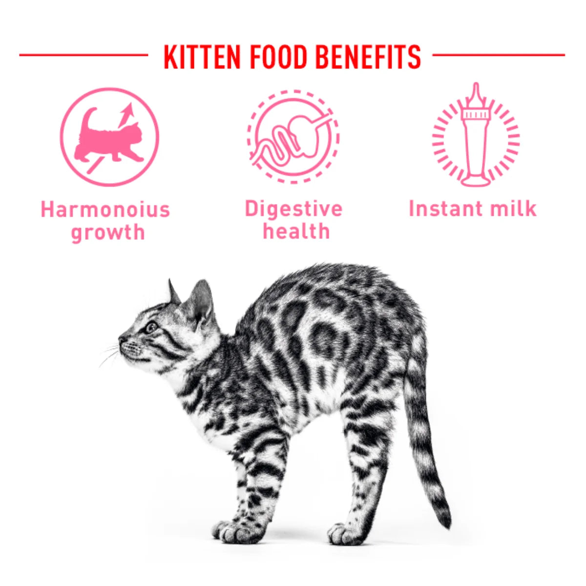 Royal Canin - Babycat Milk 幼貓奶粉