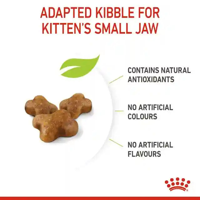 Royal Canin - Kitten Dry Food (up to 12 months old) -幼貓營養配方