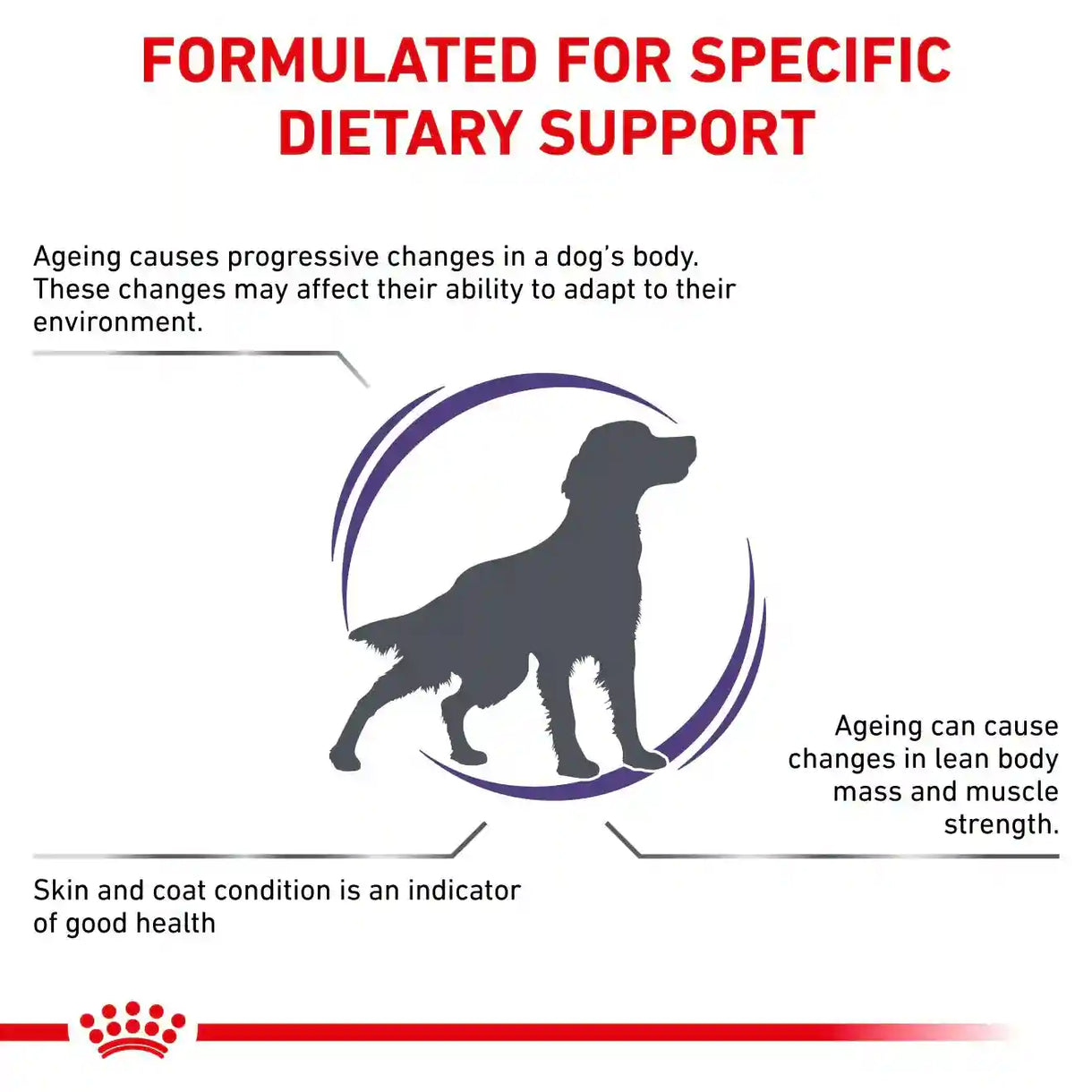 Royal Canin - Mature Consult Dog - 老犬健康管理袋裝濕糧(肉塊) 85克 (每包)