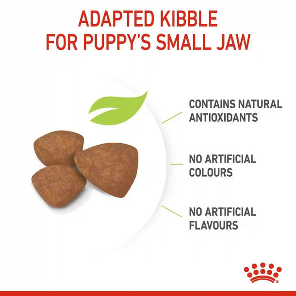 Royal Canin - Mini Puppy 2-10 months-小型幼犬配方