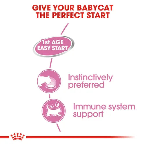 Royal Canin - Mother & BabyCat-離乳初生貓及母貓營養主食罐頭