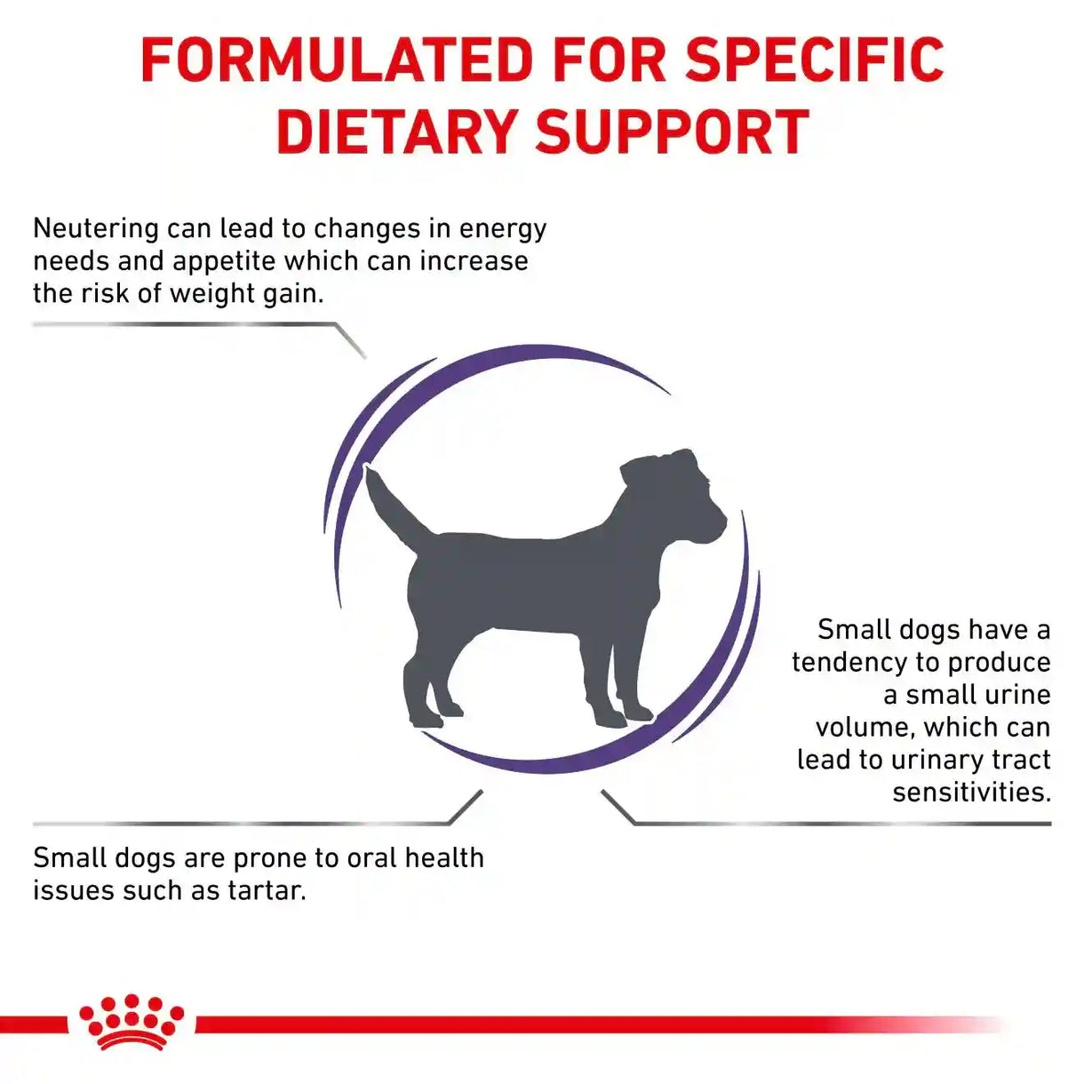 Royal Canin - Neutered Adult Small Dog 絕育小型成犬健康管理配方