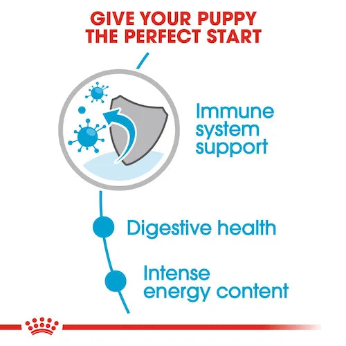 Royal Canin - Puppy Mini Gravy Wet Food 小型幼犬營養主食濕糧(肉汁)85g