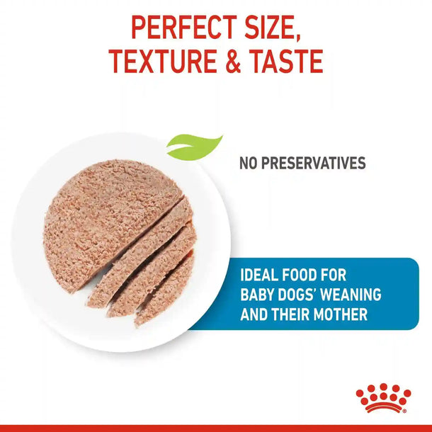 Royal Canin - Starter Mother & Baby Dog Canned Food 195 g