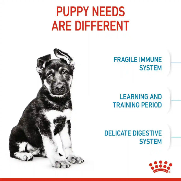 Royal Canin - Puppy MAXI -大型幼犬營養配方