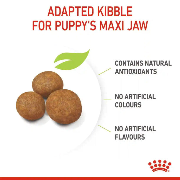 Royal Canin - Puppy MAXI -大型幼犬營養配方