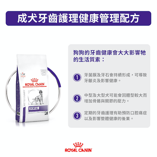 Royal Canin 犬用配方乾糧 - Dental 中&大型犬口腔保健處方 6公斤