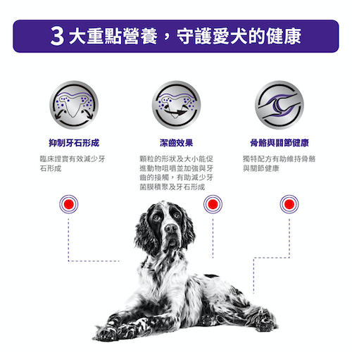 Royal Canin 犬用配方乾糧 - Dental 中&大型犬口腔保健處方 6公斤