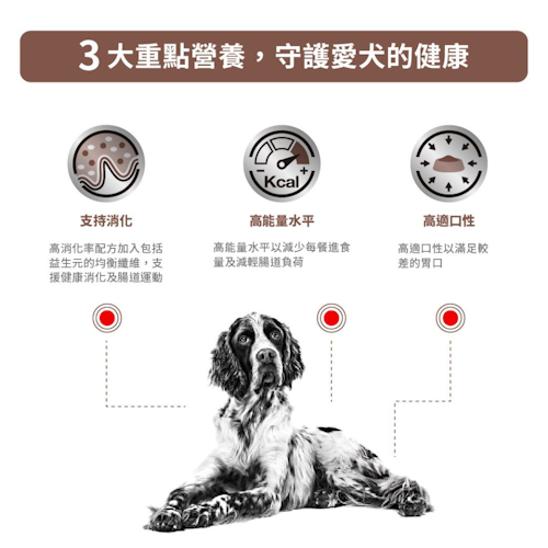 Royal Canin -Gastrointestinal 成犬腸胃獸醫處方罐頭