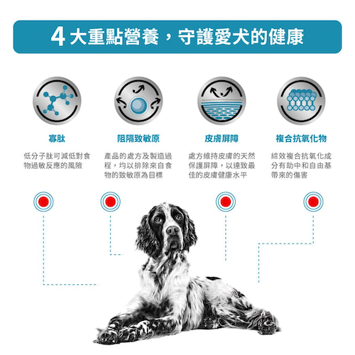 Royal Canin Veterinary Diet- Anallergenic 成犬高度水解低敏感處方