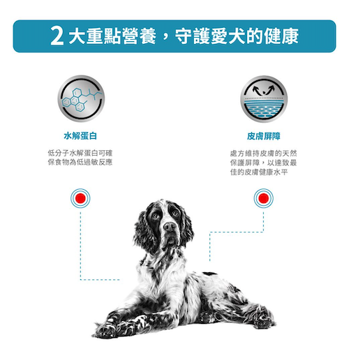 Royal Canin Veterinary Diet - Hypoallergenic 成犬低敏感獸醫處方罐頭