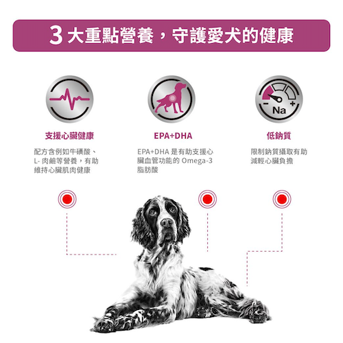 Royal Canin Veterinary Diet - Cardiac (Can)