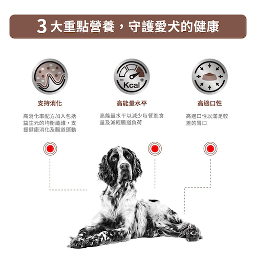 Royal Canin Veterinary Diet - Gastrointestinal Diet 成犬腸胃處方