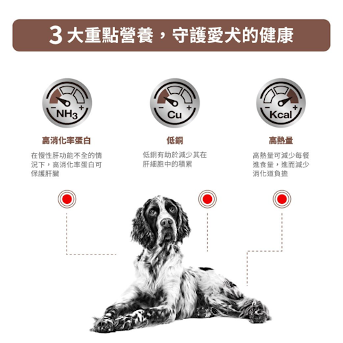 Royal Canin -Hepatic 成犬肝臟獸醫處方