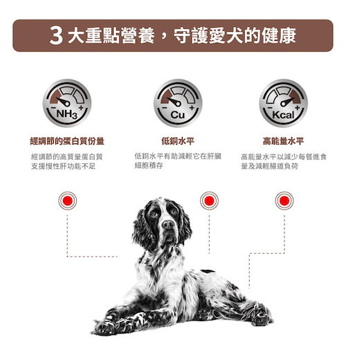 Royal Canin- Hepatic成犬肝臟獸醫處方罐頭 420克