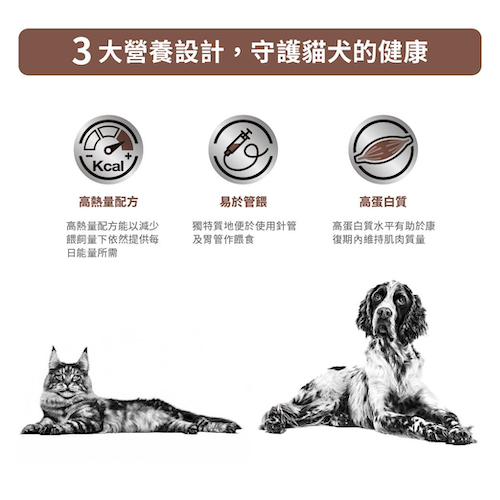 Royal Canin - Recovery ICU 重症營養補給處方(貓/犬用)罐頭 195克