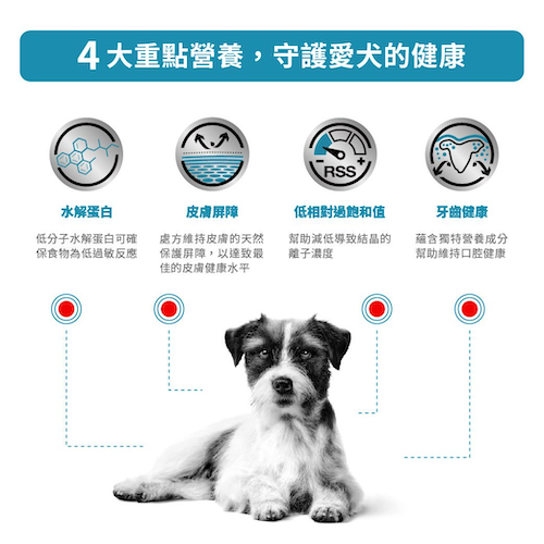 Royal Canin Veterinary Diet - Hypoallergenic Small Dogs 小型成犬低敏感獸醫處方