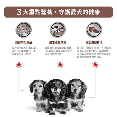 Royal Canin Veterinary Diet - Gastrointestinal Puppy 幼犬腸胃處方慕絲罐頭