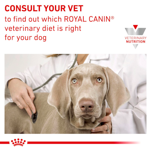 Royal Canin Veterinary Diet - Skintopic- 成犬異位性皮膚炎處方