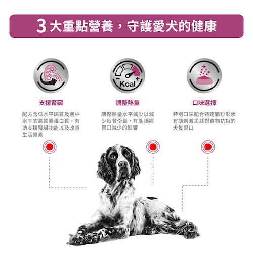 Royal Canin Veterinary Diet - Renal 成犬腎臟處方罐頭