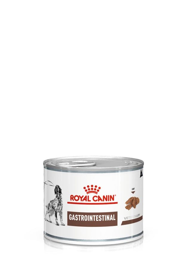 Royal Canin -Gastrointestinal 成犬腸胃獸醫處方罐頭