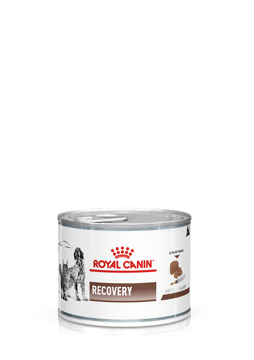Royal Canin - Recovery ICU 重症營養補給處方(貓/犬用)罐頭 195克