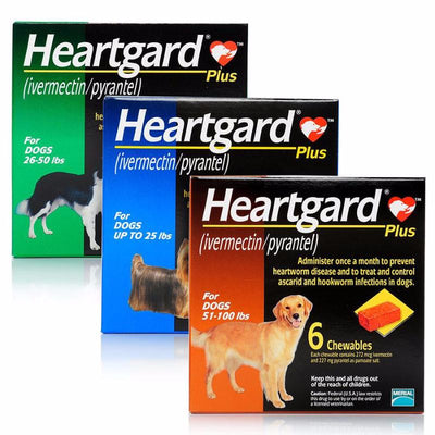 Heartgard Plus