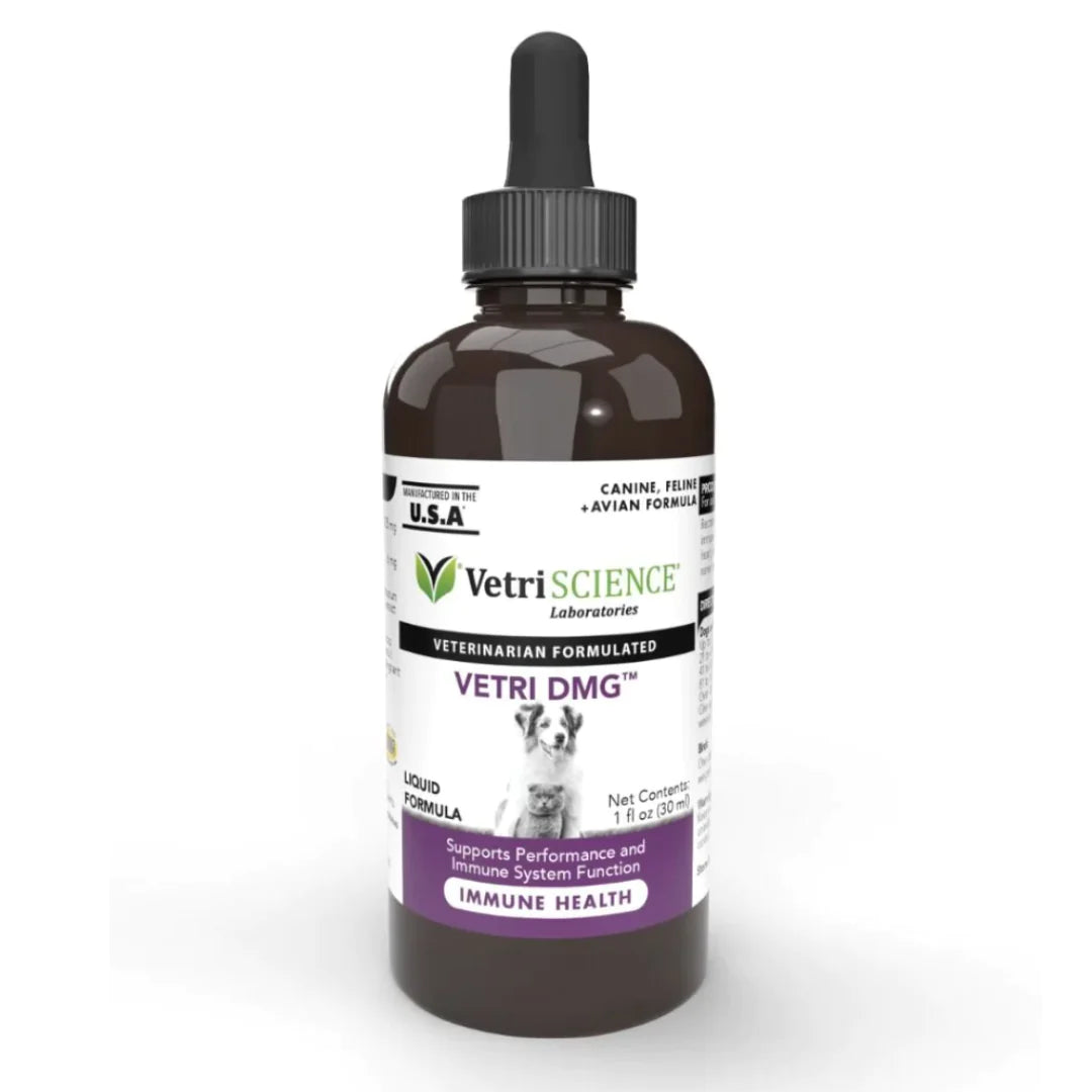 VetriScience - Vetri DMG Liquid (Immune System Supplements) 30ml