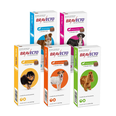 Bravecto For Fleas And Ticks