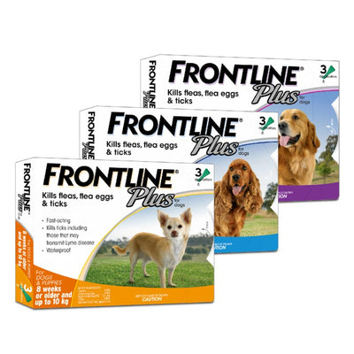 Frontline Plus for Dogs