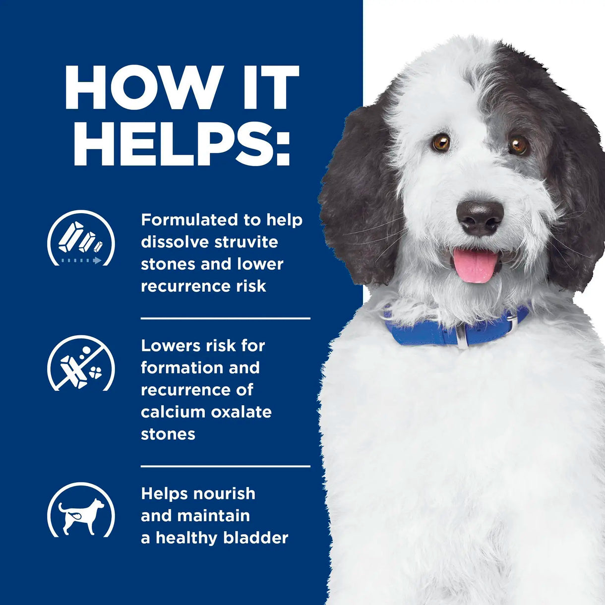 Hill's Prescription Diet - c/d Urinary Care (Dry)