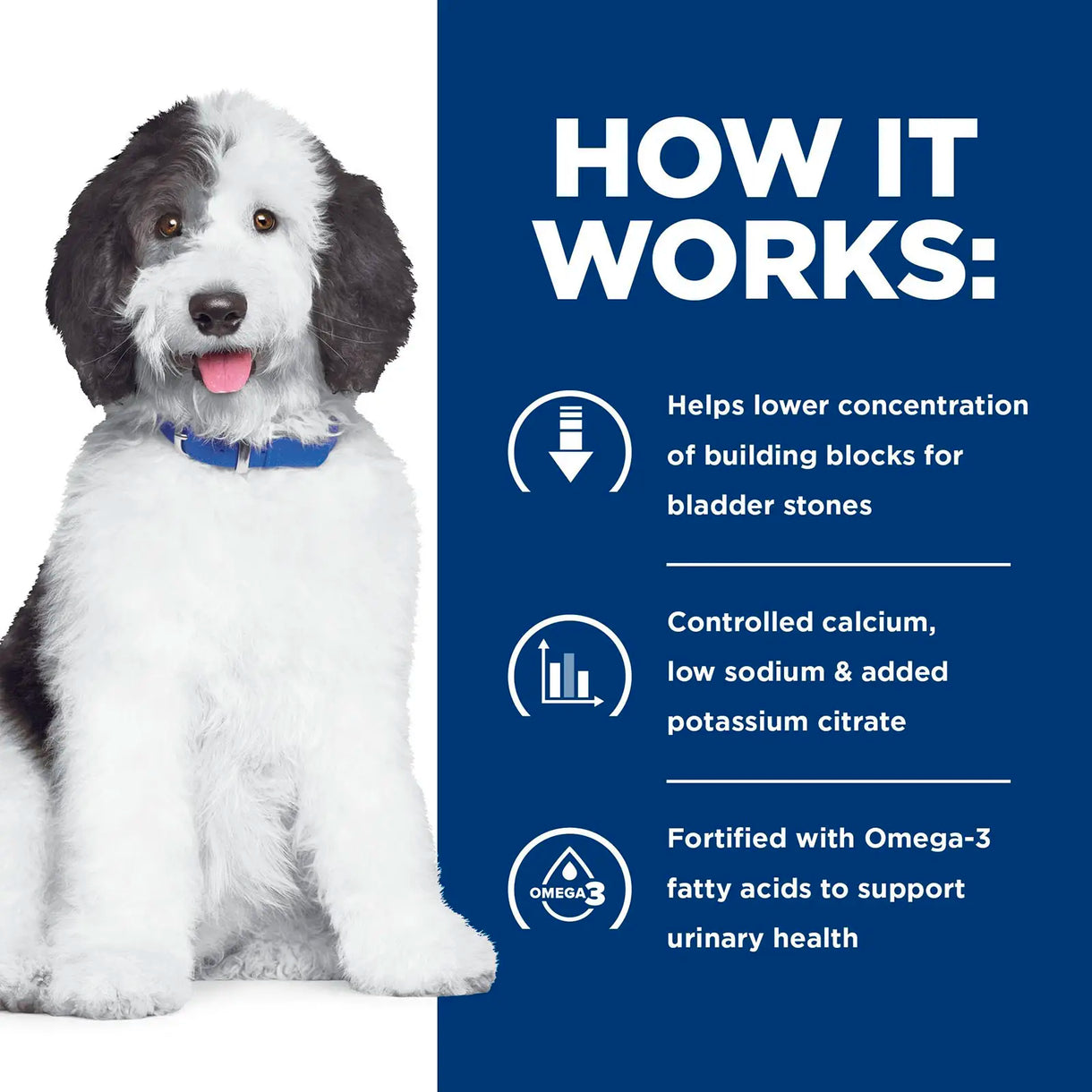 Hill's Prescription Diet - c/d Urinary Care (Dry)