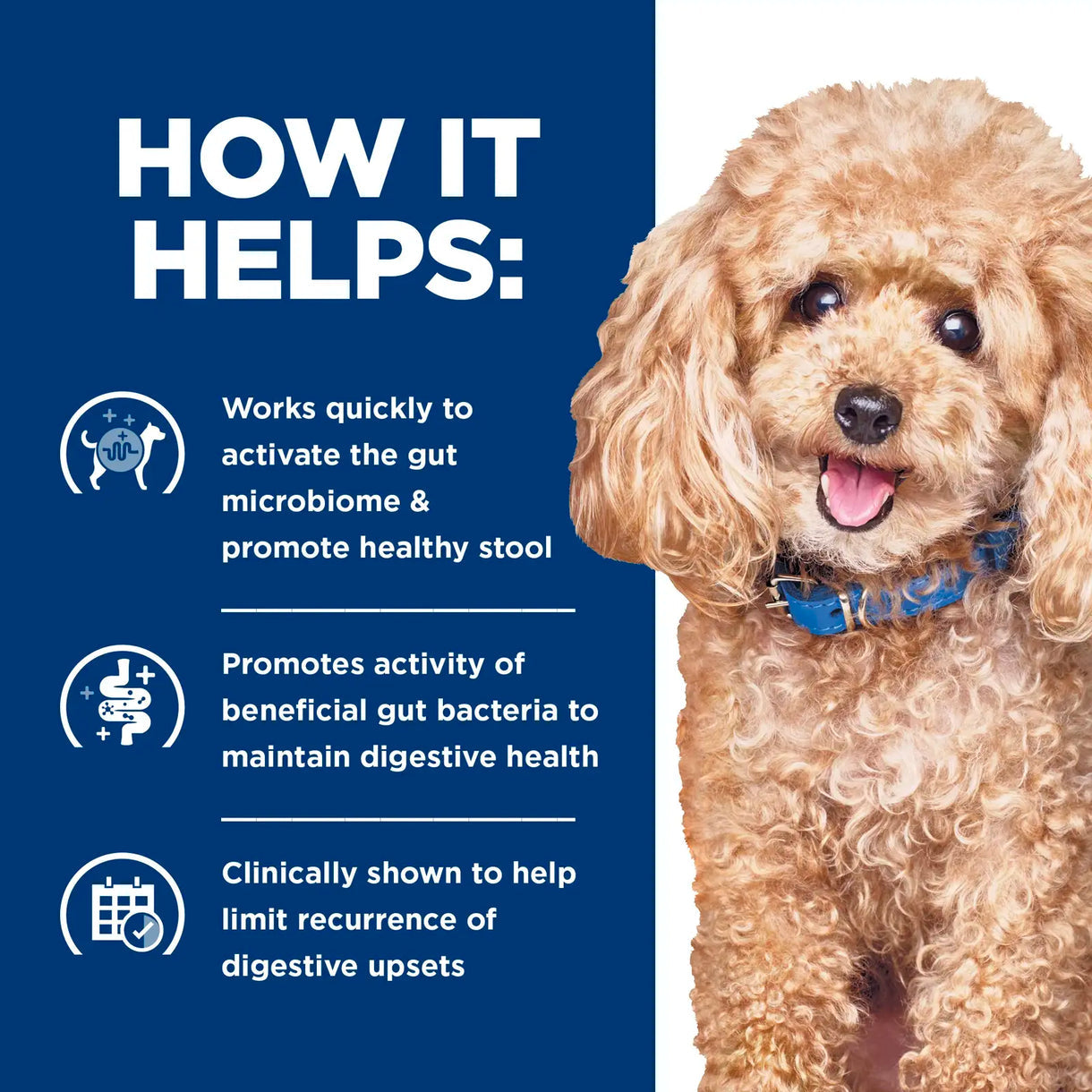 Hill's Prescription Diet -  Gastrointestinal Biome Digestive/Fibre care- Small Bites (Dry)