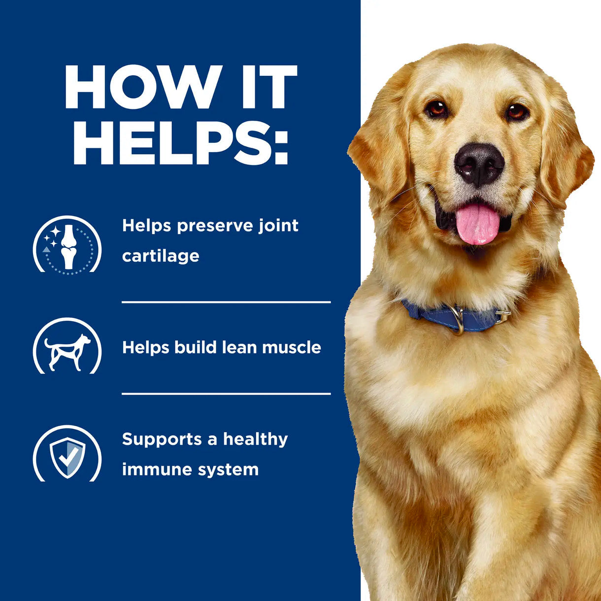 Hill's Prescription Diet - j/d Mobility (Dry)