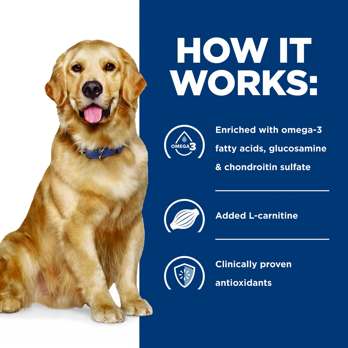 Hill's Prescription Diet - j/d Mobility (Dry)