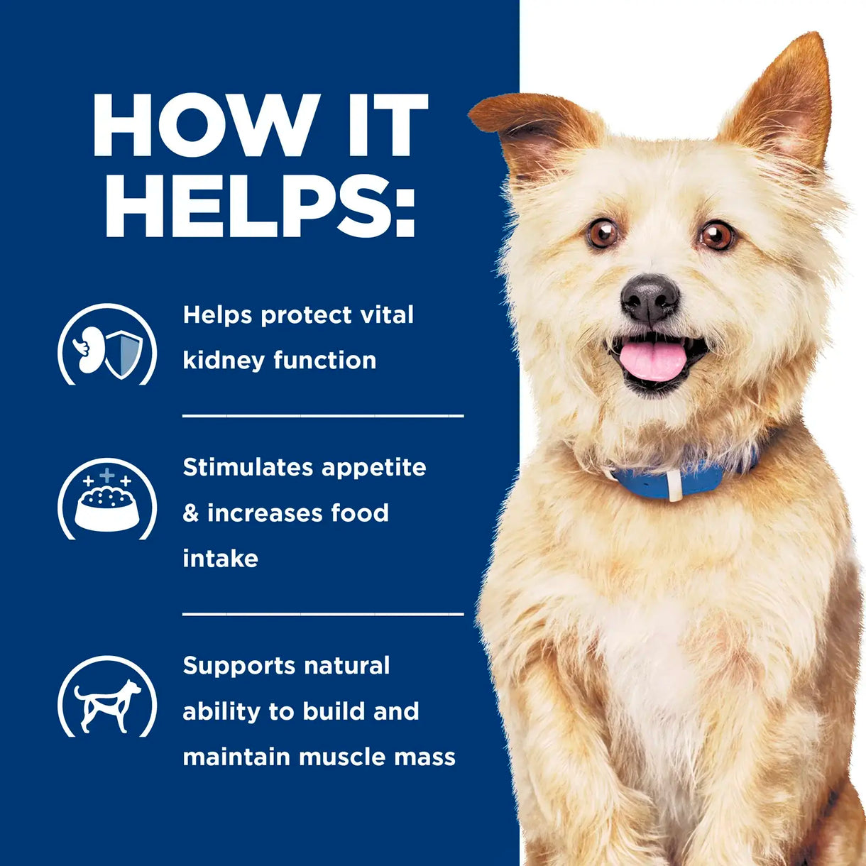 Hill's Prescription Diet - k/d Kidney Care (Dry)