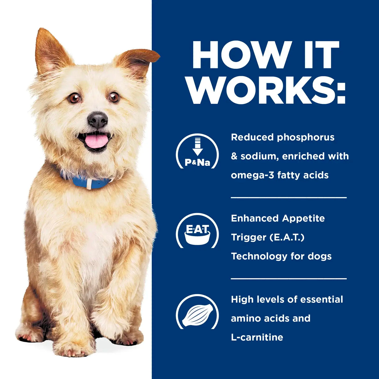 Hill's Prescription Diet - k/d Kidney Care (Dry)