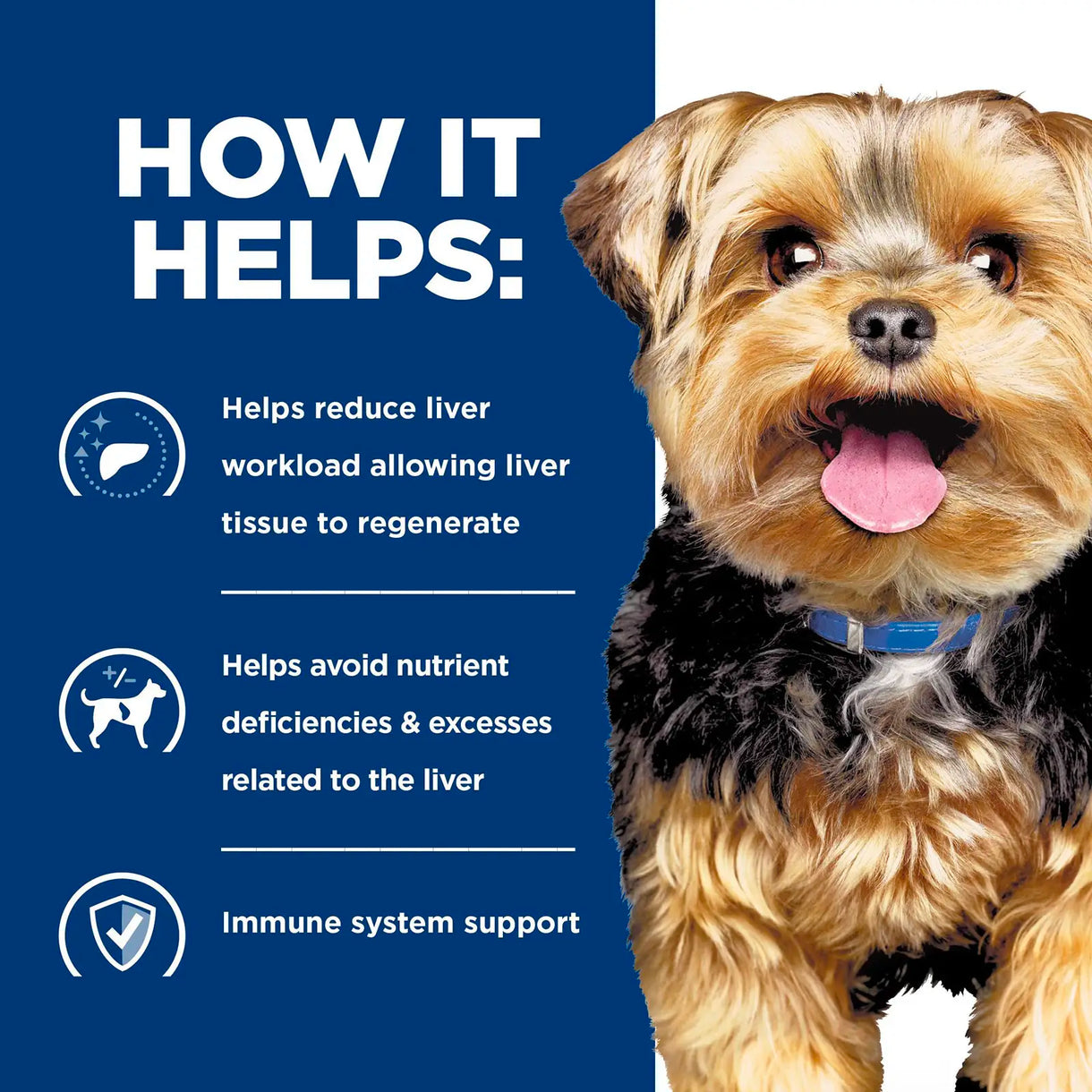 Hill's Prescription Diet - l/d Liver Care (Dry)