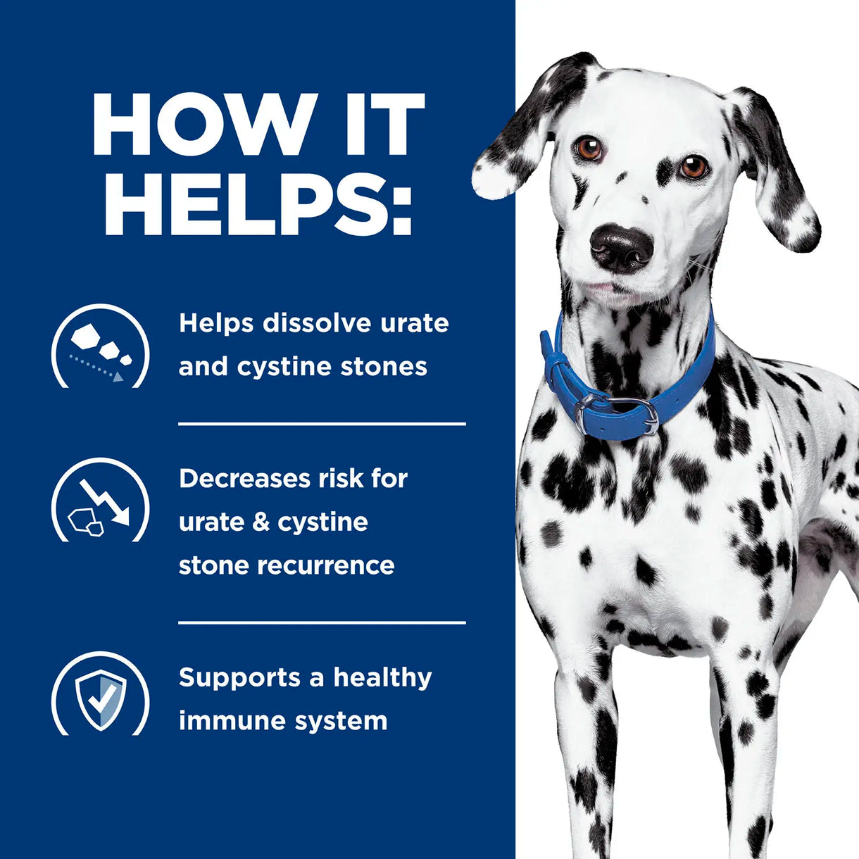 Hill's Prescription Diet- u/d Urinary Health (Dry)